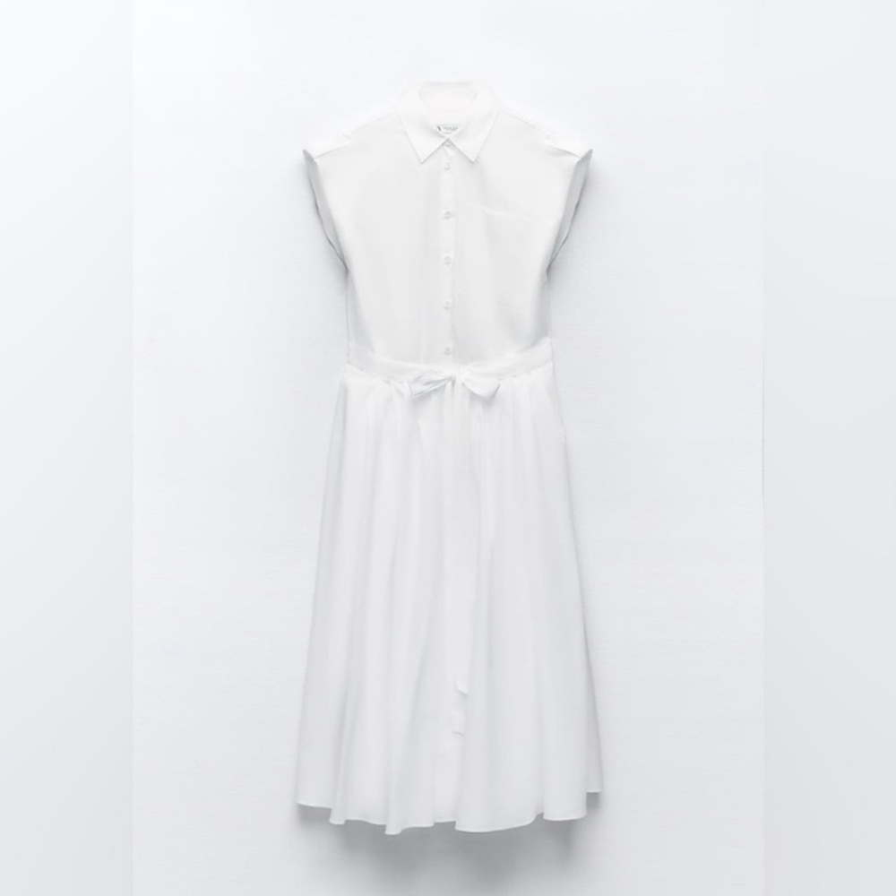Zara Dress